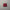 Red Zip-Up Fleece Hoodie